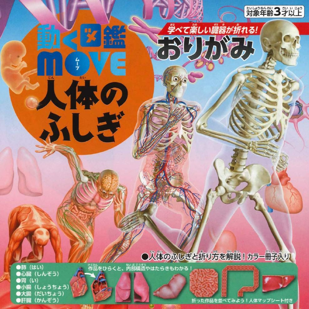 動く図鑑MOVE 人体のふしぎおりがみ – TOKYO ORIGAMI MUSEUM SHOP