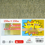 メタルアニマル裏面